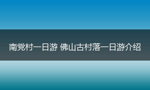 南党村一日游 佛山古村落一日游介绍