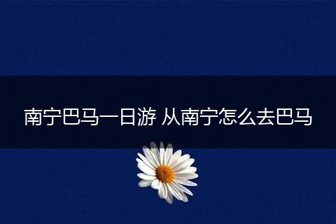 南宁巴马一日游 从南宁怎么去巴马