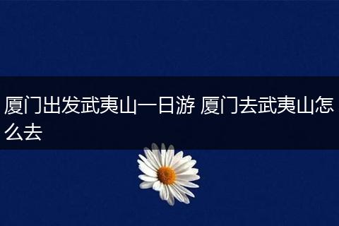 厦门出发武夷山一日游 厦门去武夷山怎么去