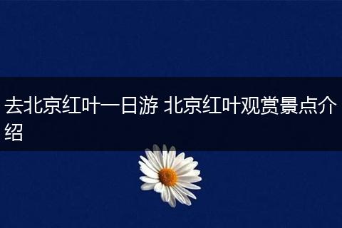 去北京红叶一日游 北京红叶观赏景点介绍