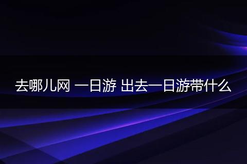 去哪儿网 一日游 出去一日游带什么