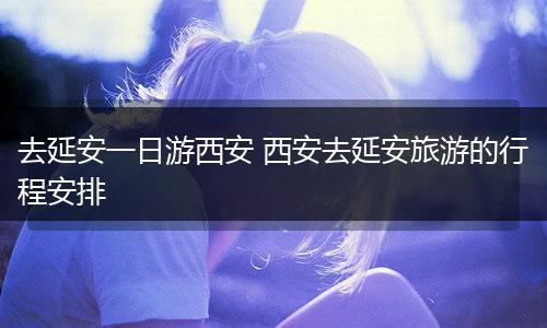 去延安一日游西安 西安去延安旅游的行程安排