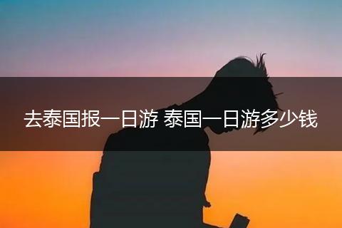 去泰国报一日游 泰国一日游多少钱