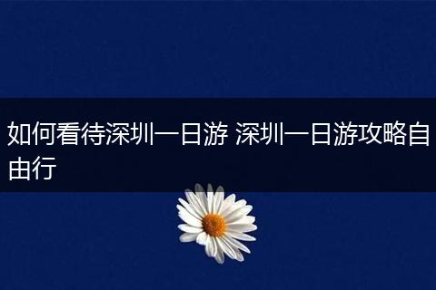 如何看待深圳一日游 深圳一日游攻略自由行