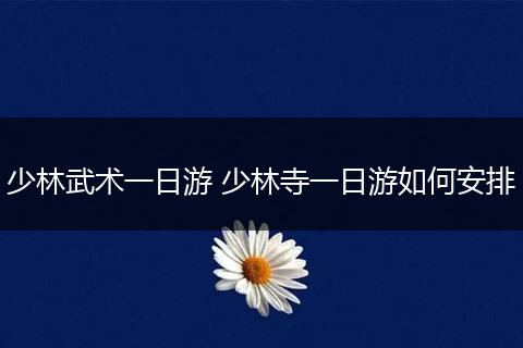 少林武术一日游 少林寺一日游如何安排