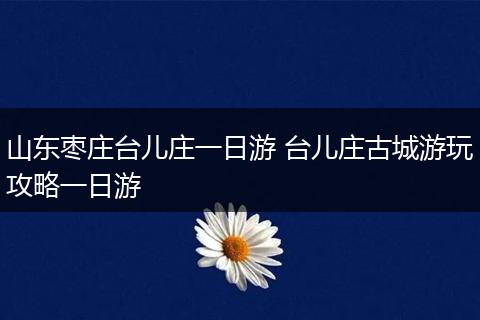 山东枣庄台儿庄一日游 台儿庄古城游玩攻略一日游