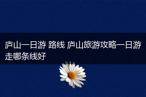 庐山一日游 路线 庐山旅游攻略一日游走哪条线好