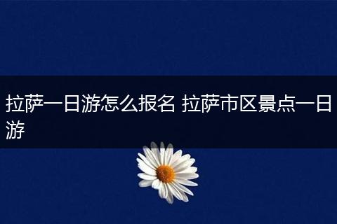 拉萨一日游怎么报名 拉萨市区景点一日游