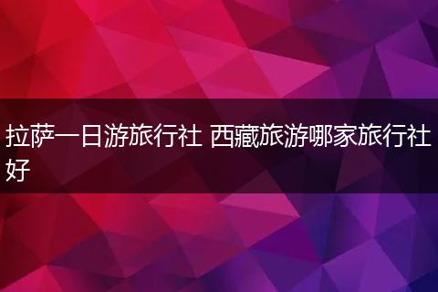 拉萨一日游旅行社 西藏旅游哪家旅行社好