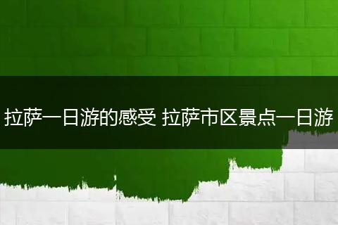 拉萨一日游的感受 拉萨市区景点一日游