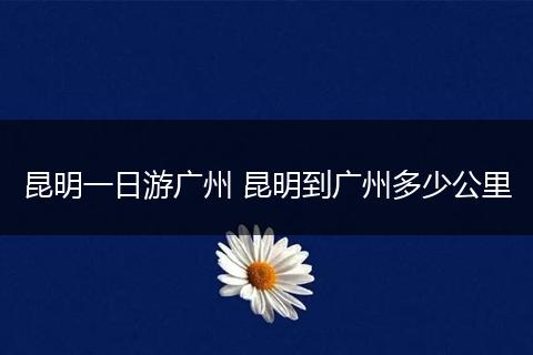 昆明一日游广州 昆明到广州多少公里