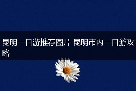 昆明一日游推荐图片 昆明市内一日游攻略
