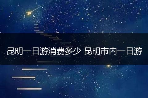 昆明一日游消费多少 昆明市内一日游