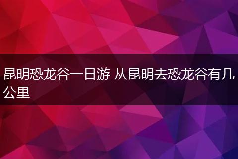 昆明恐龙谷一日游 从昆明去恐龙谷有几公里