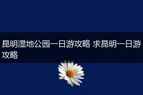 昆明湿地公园一日游攻略 求昆明一日游攻略
