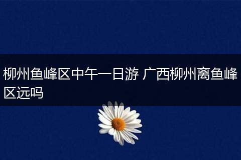 柳州鱼峰区中午一日游 广西柳州离鱼峰区远吗