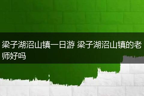 梁子湖沼山镇一日游 梁子湖沼山镇的老师好吗