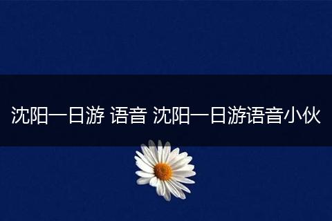 沈阳一日游 语音 沈阳一日游语音小伙