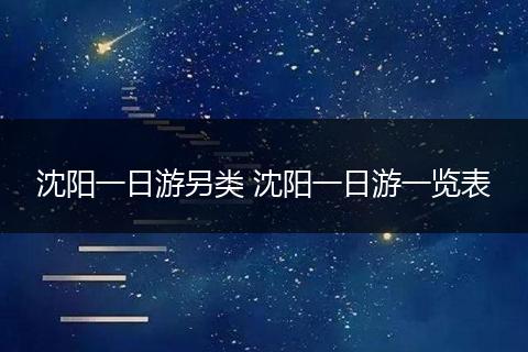 沈阳一日游另类 沈阳一日游一览表