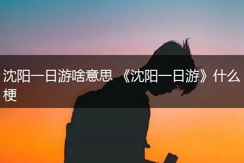 沈阳一日游啥意思 《沈阳一日游》什么梗