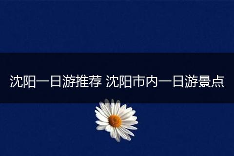 沈阳一日游推荐 沈阳市内一日游景点