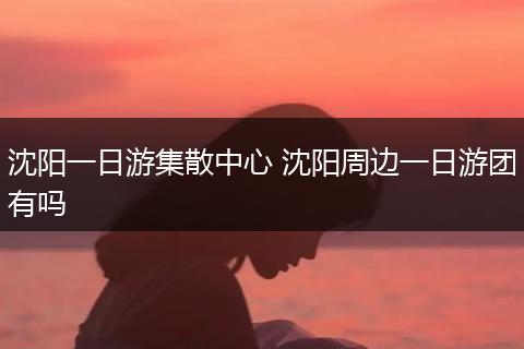 沈阳一日游集散中心 沈阳周边一日游团有吗