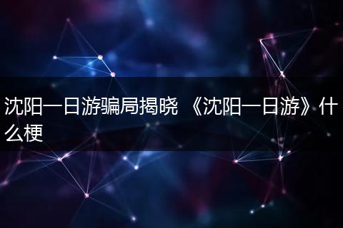 沈阳一日游骗局揭晓 《沈阳一日游》什么梗