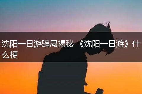沈阳一日游骗局揭秘 《沈阳一日游》什么梗