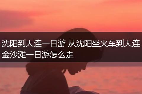 沈阳到大连一日游 从沈阳坐火车到大连金沙滩一日游怎么走