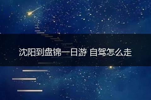 沈阳到盘锦一日游 自驾怎么走