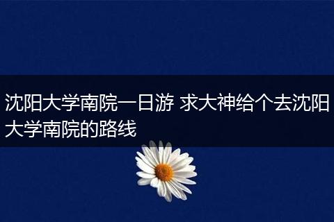 沈阳大学南院一日游 求大神给个去沈阳大学南院的路线