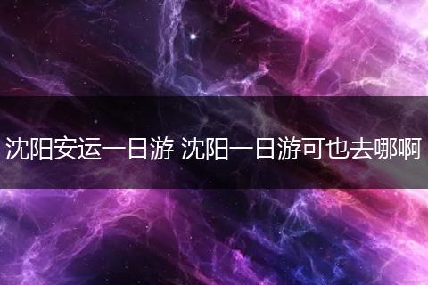 沈阳安运一日游 沈阳一日游可也去哪啊
