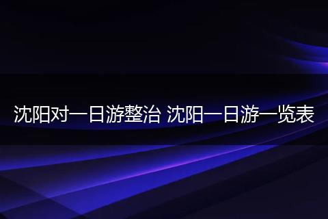 沈阳对一日游整治 沈阳一日游一览表