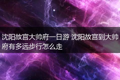 沈阳故宫大帅府一日游 沈阳故宫到大帅府有多远步行怎么走