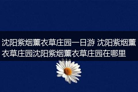 沈阳紫烟薰衣草庄园一日游 沈阳紫烟薰衣草庄园沈阳紫烟薰衣草庄园在哪里