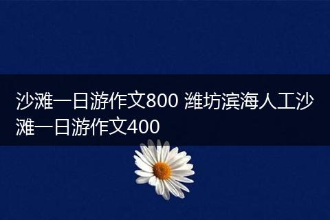 沙滩一日游作文800 潍坊滨海人工沙滩一日游作文400