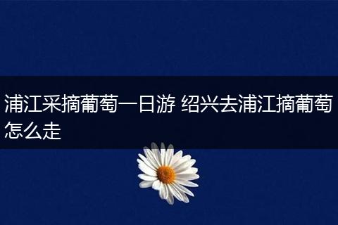 浦江采摘葡萄一日游 绍兴去浦江摘葡萄怎么走