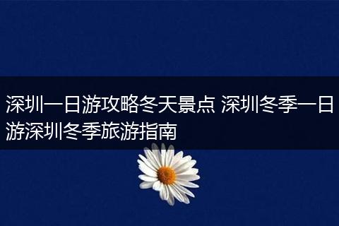深圳一日游攻略冬天景点 深圳冬季一日游深圳冬季旅游指南