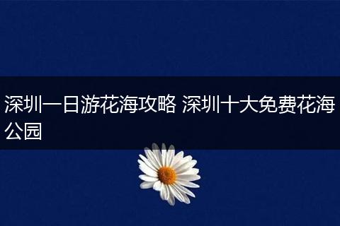 深圳一日游花海攻略 深圳十大免费花海公园