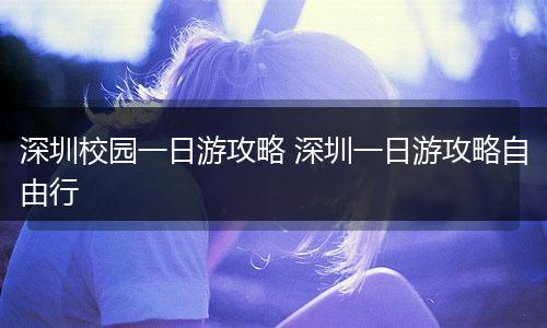 深圳校园一日游攻略 深圳一日游攻略自由行