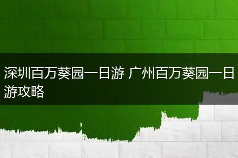 深圳百万葵园一日游 广州百万葵园一日游攻略