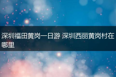 深圳福田黄岗一日游 深圳西丽黄岗村在哪里