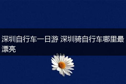 深圳自行车一日游 深圳骑自行车哪里最漂亮