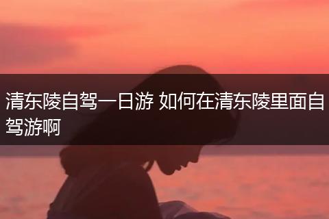 清东陵自驾一日游 如何在清东陵里面自驾游啊