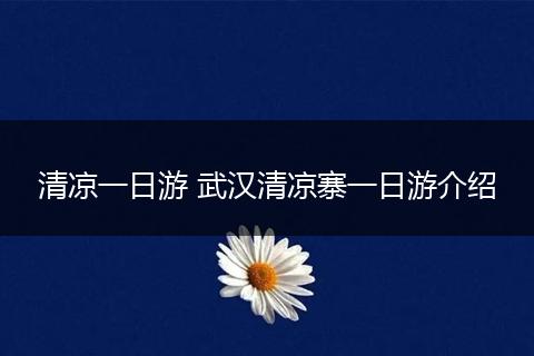 清凉一日游 武汉清凉寨一日游介绍