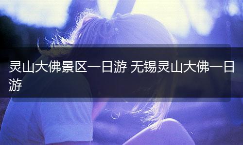 灵山大佛景区一日游 无锡灵山大佛一日游