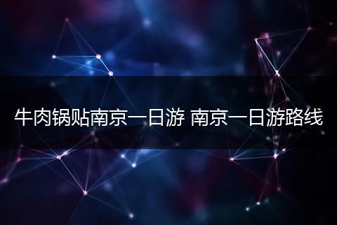 牛肉锅贴南京一日游 南京一日游路线