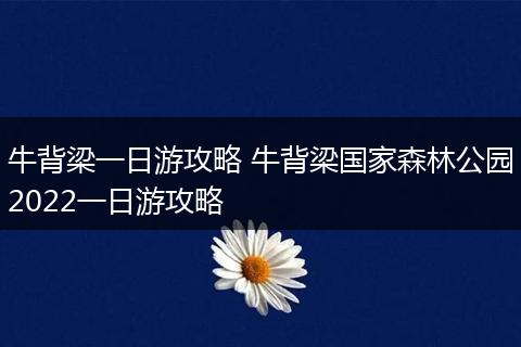 牛背梁一日游攻略 牛背梁国家森林公园2022一日游攻略