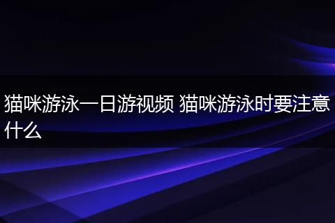 猫咪游泳一日游视频 猫咪游泳时要注意什么