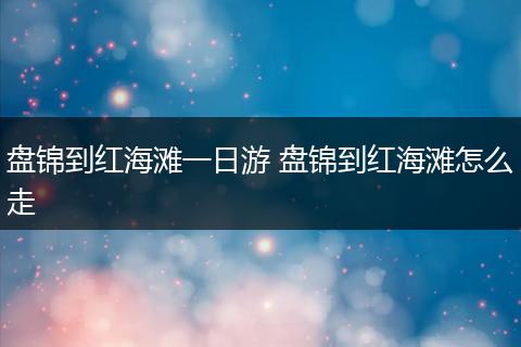 盘锦到红海滩一日游 盘锦到红海滩怎么走